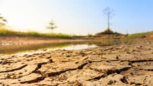 Drought-iStock-7