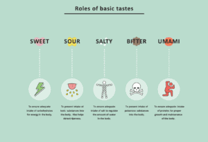 Roles-of-Basic-Tastes